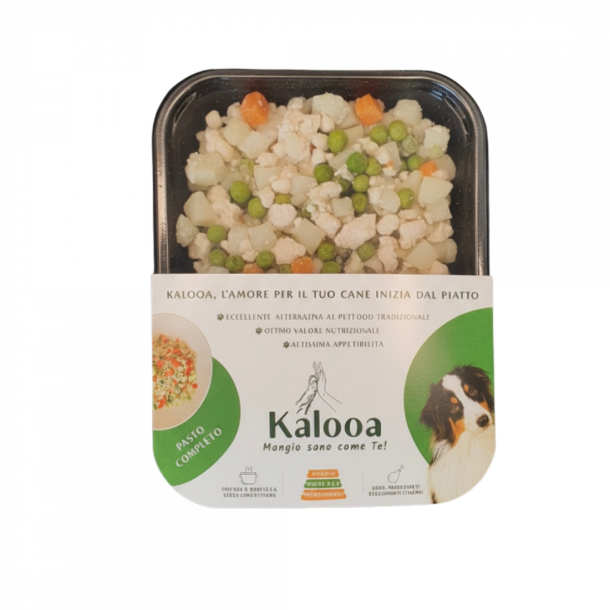 Pollo